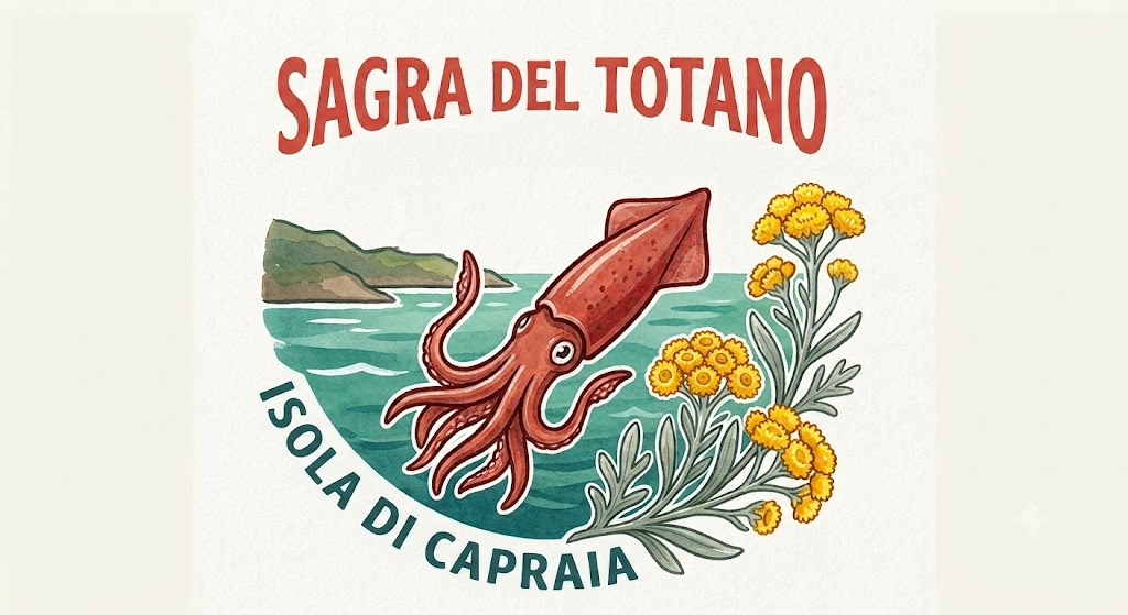 Concorso 7